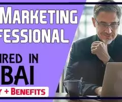 IT & Marketing Professional Required in Dubai