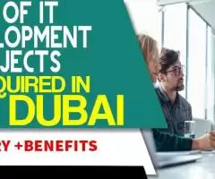 Head of IT Development & Projects Required in Dubai