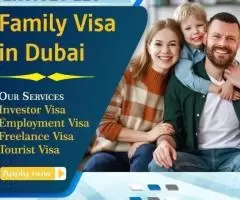 Visa Service in Dubai +971504584059