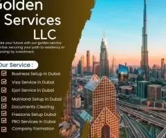 PRO Services in Dubai +971504584059