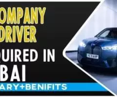 Urgent Company Driver Required in UAE Dubai