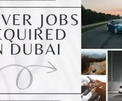 DRIVER FOR STAFF Required in Dubai
