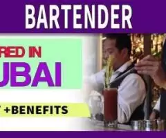 Bartender Required in Dubai