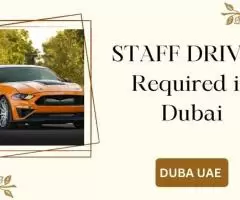 STAFF DRIVER Required in Dubai