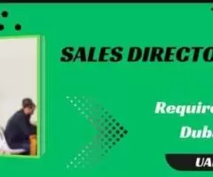 Sales Director Required in Dubai