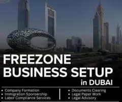 Freezone Setup in Dubai -Setting Up Your Business in Dubai Free Zone