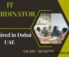 IT Coordinator Required in Dubai
