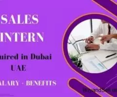 Sales Intern Required in Dubai