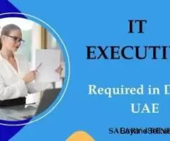 Information Technology Executive Required in Dubai