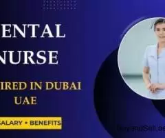 Dental Nurse Required in Dubai -
