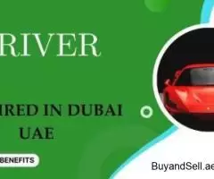 Driver Required in Dubai