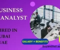 IT Business Apps Analyst Required in Dubai