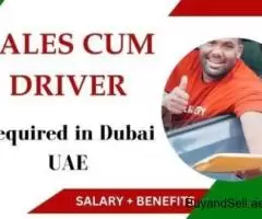 Sales cum Driver Required in Dubai