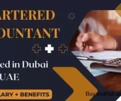 Chartered Accountant Required in Dubai