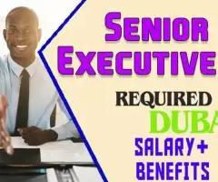 Senior Executive Human Resources Required in Dubai -